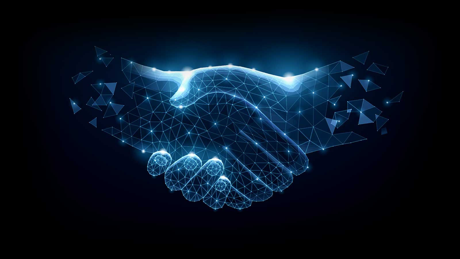 Digital Picture of Handshake